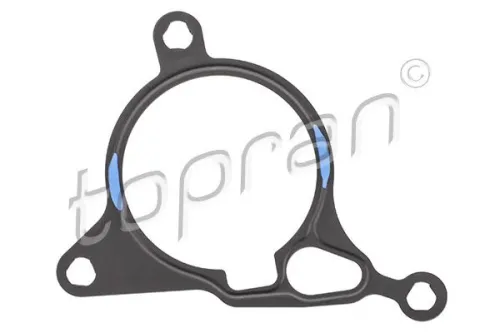 Gasket, vacuum pump