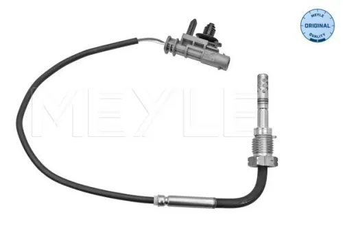 Sensor, exhaust gas temperature