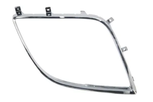 Trim/Protection Strip, bumper