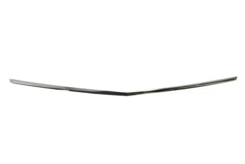 Trim/Protection Strip, bumper