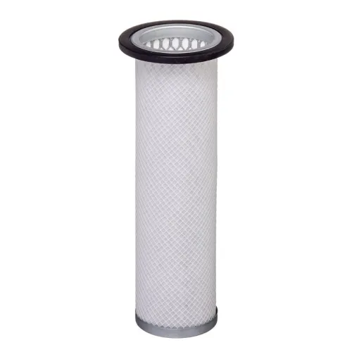 Secondary Air Filter