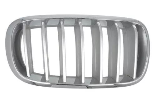 Radiator Grille