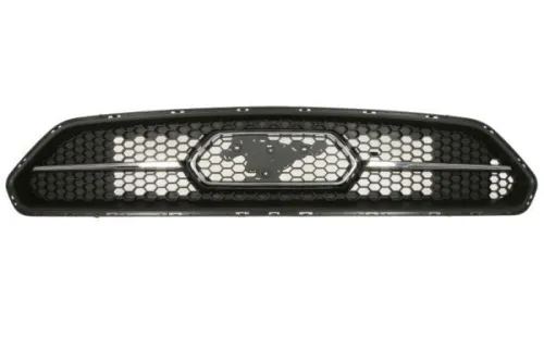 Radiator Grille