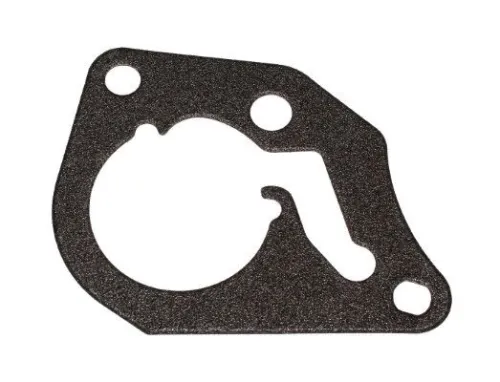 Gasket, vacuum pump