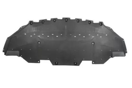 Engine Guard/Skid Plate