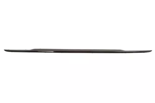 Trim/Protection Strip, bumper