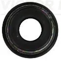 Seal Ring, valve stem