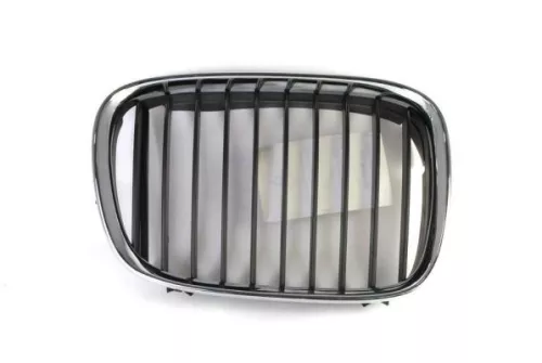 Radiator Grille