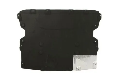 Engine Guard/Skid Plate