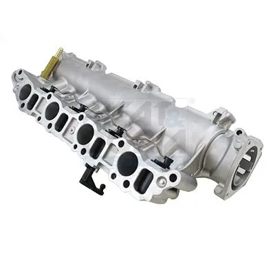 Intake Manifold Module