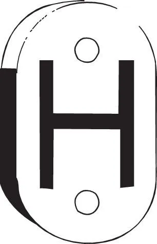 Mount, exhaust system