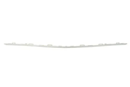 Trim/Protection Strip, bumper