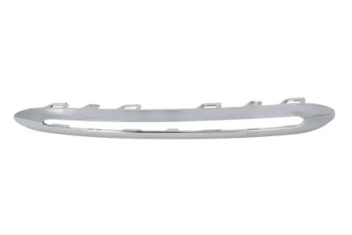 Trim/Protection Strip, radiator grille