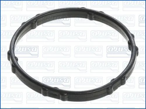 Gasket, coolant flange