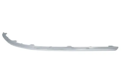 Trim/Protection Strip, bumper