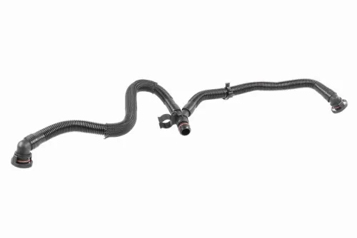 Hose, crankcase ventilation