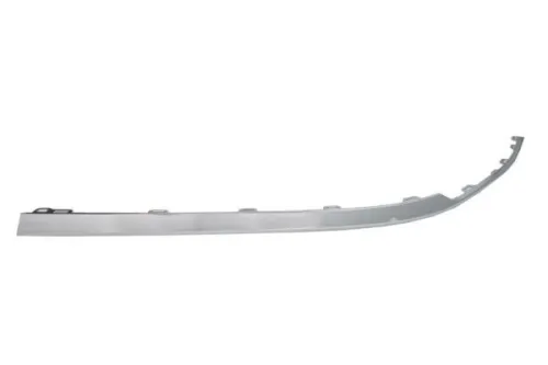 Trim/Protection Strip, bumper