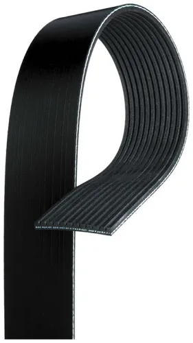 V-ribbed Belt