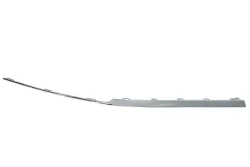 Trim/Protection Strip, bumper