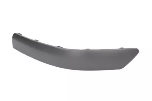 Trim/Protection Strip, bumper