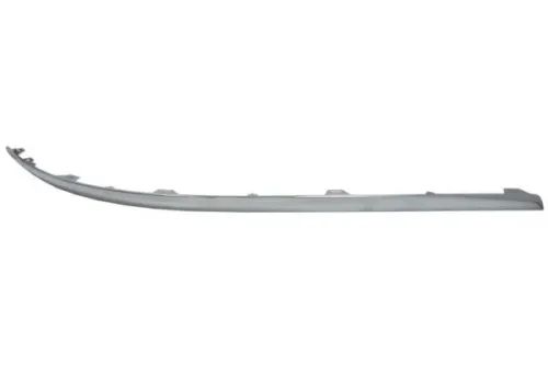 Trim/Protection Strip, bumper