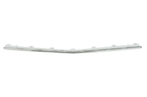 Trim/Protection Strip, bumper