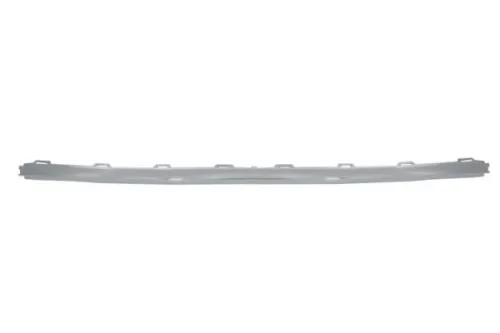 Trim/Protection Strip, bumper