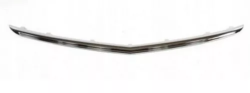 Trim/Protection Strip, radiator grille