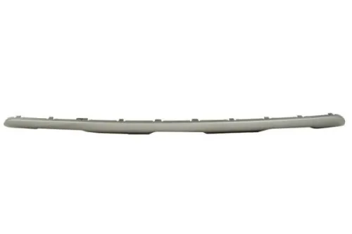 Trim/Protection Strip, bumper