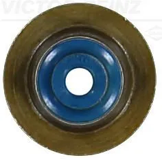 Seal Ring, valve stem
