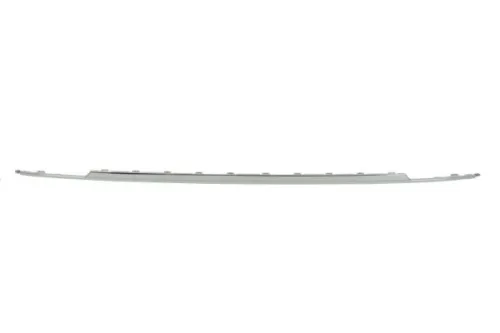 Trim/Protection Strip, bumper