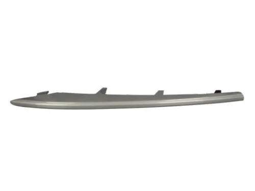 Trim/Protection Strip, bumper