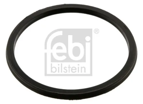 Seal Ring, gearshift linkage