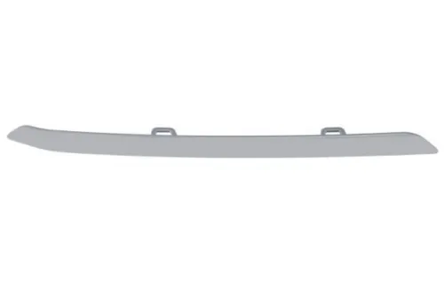 Trim/Protection Strip, radiator grille