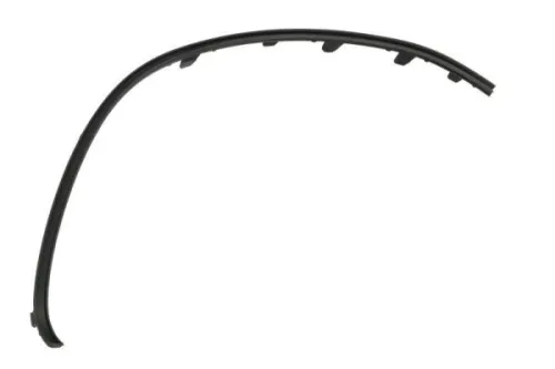 Trim/Protection Strip, bumper