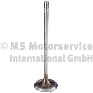 Intake Valve