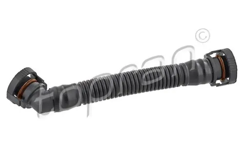 Hose, cylinder head cover ventilation