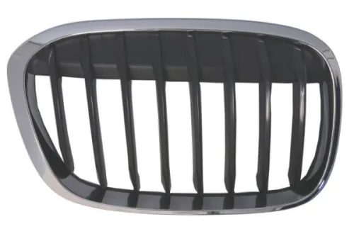Radiator Grille