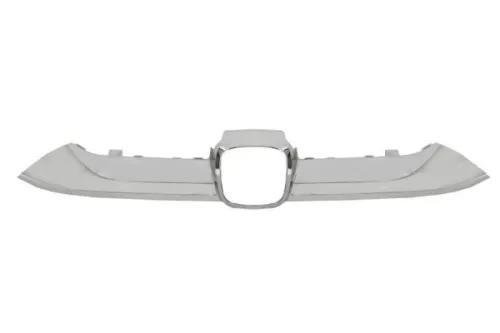 Trim/Protection Strip, radiator grille