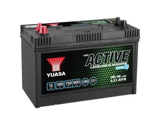 Starter Battery