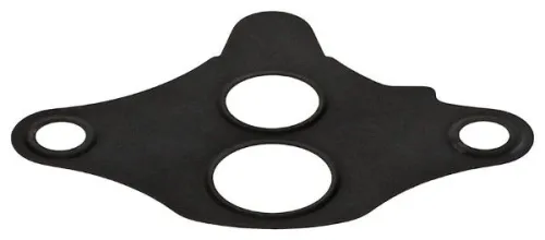 Gasket, EGR valve