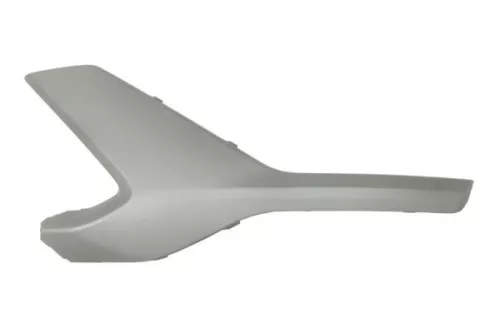 Trim/Protection Strip, bumper