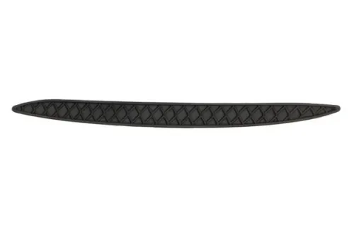 Trim/Protection Strip, bumper