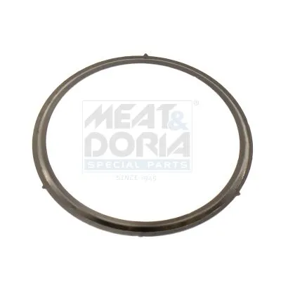 Gasket, EGR valve
