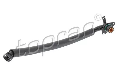 Hose, crankcase ventilation