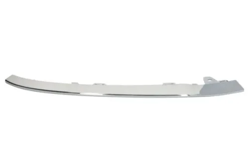 Trim/Protection Strip, bumper