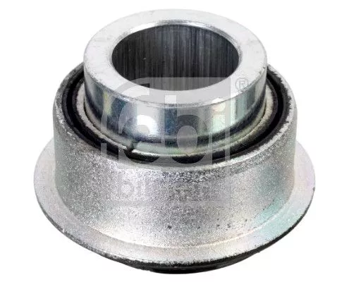 Bushing, leaf spring