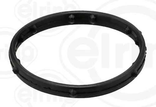 Gasket, coolant flange