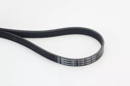 V-ribbed Belt