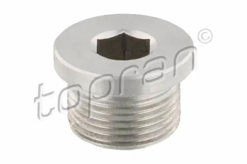 Screw Plug, automatic transmission casing